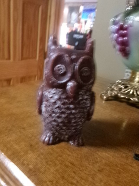 Vintage Owl Candle brown Owl 7 in lite once very good boho decor md’India