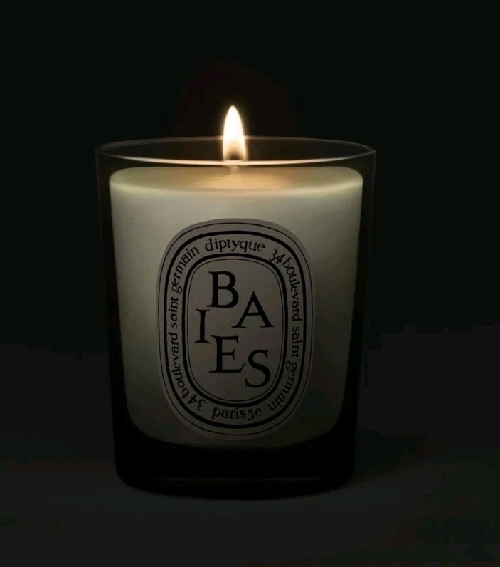 Diptyque Baies Candle 70g 100% Authentic No Box