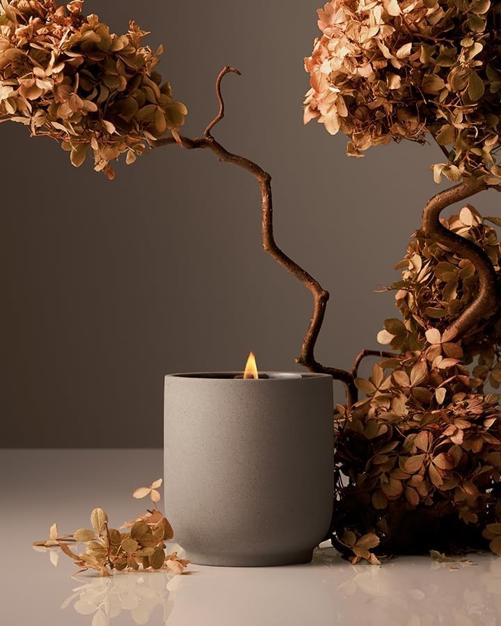 Luxury Scented Candle, 60-Hour Burn Time, Soy Wax Blend & Organic Cotton Wick…