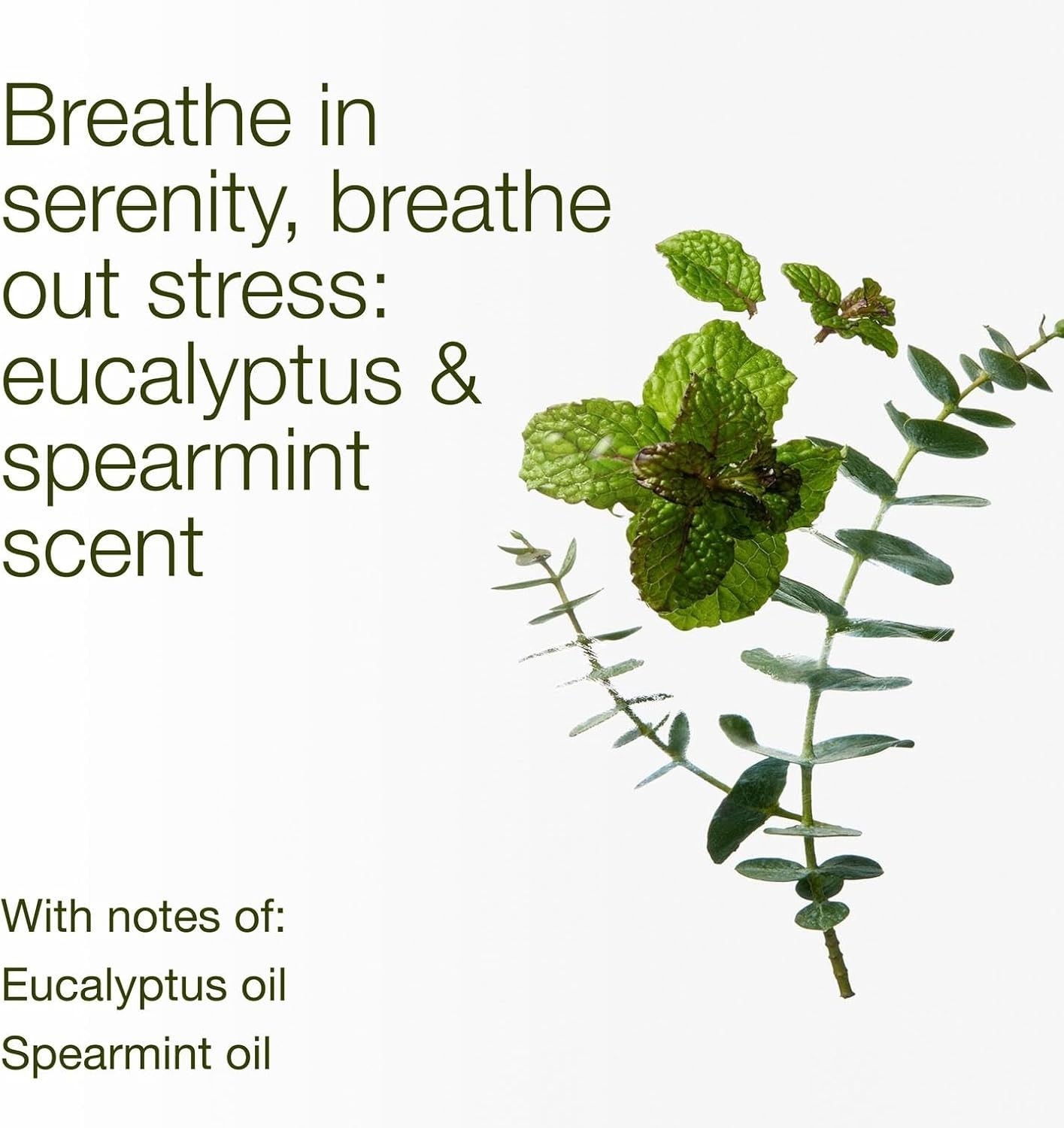 Indulge in Eucalyptus Spearmint 3-Wick Candle – Ultimate Relaxation Gift Set