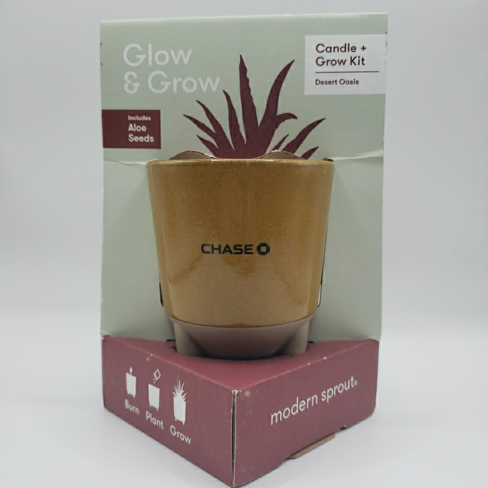 Modern Sprout Glow & Grow DESERT OASIS Candle & Grow Kit – Aloe Seed Chase Bank