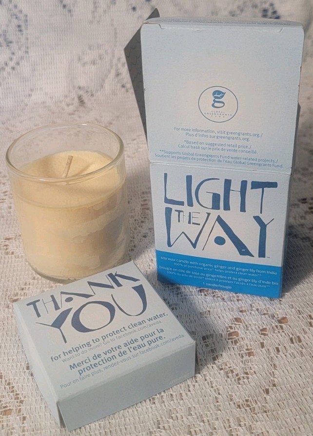 Soy Wax Candle With Organic Ginger And Ginger Lily From India