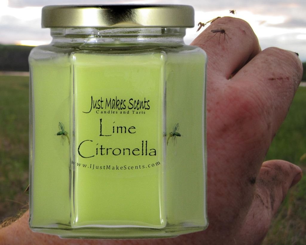 Lime Citronella Scented Blended Soy Candle for Indoor Use by Just Makes Scent…