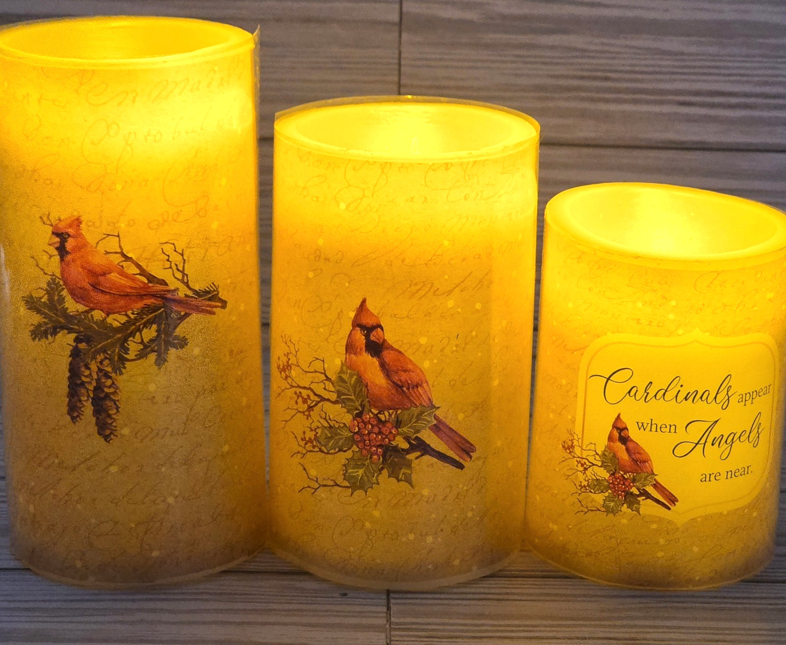 Set of 3 Candles LED Flameless Wax Pillars Cardinal Birds AAA Battery Operated