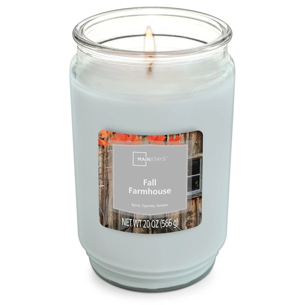 Autumn Harvest Scented Single Wick Candle Large Jar 20 Ounce Home Fragrance