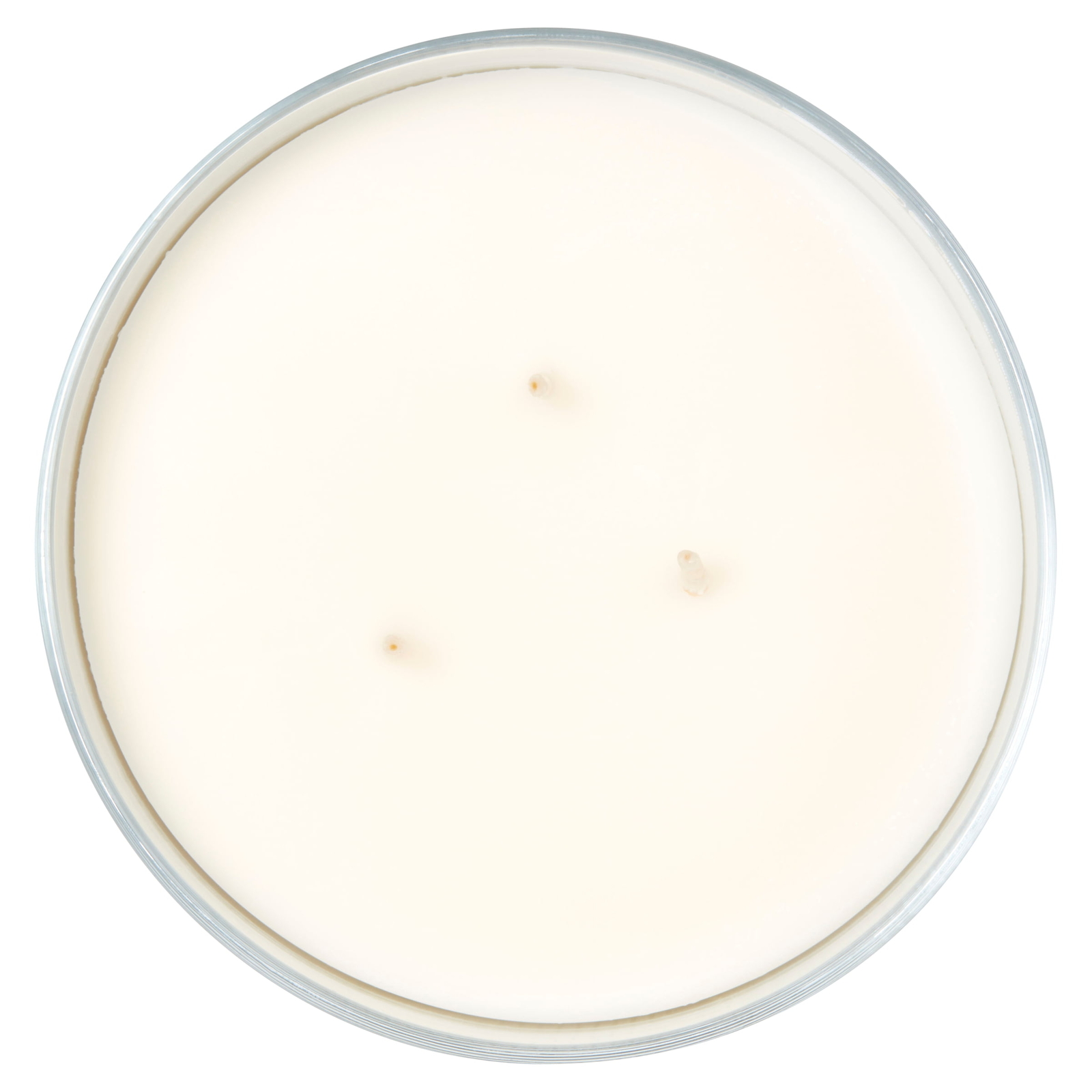 (4 pack) 3-Wick Textured Wrapped Cozy Comfort Scented Candle, 14 oz