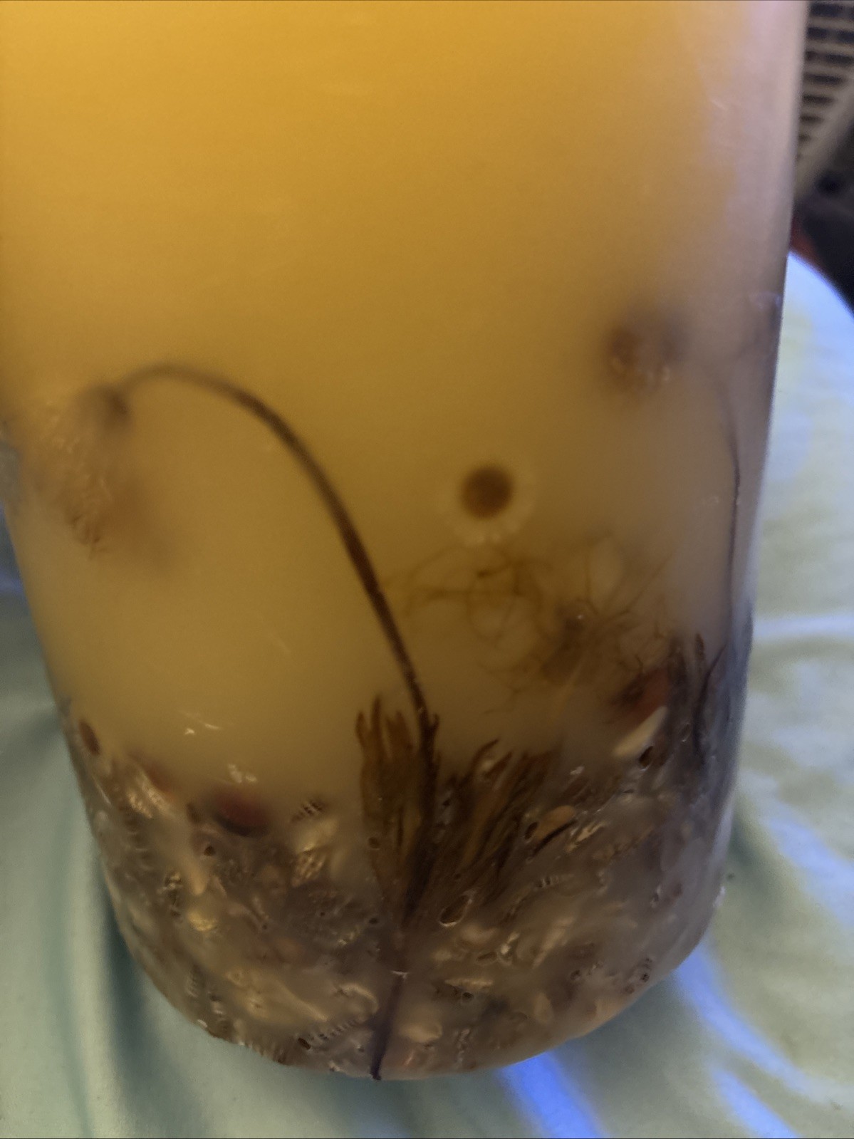 Rosy Rings Botanical Candle, 6.5” With Natural Elements Embedded. 200 Hours