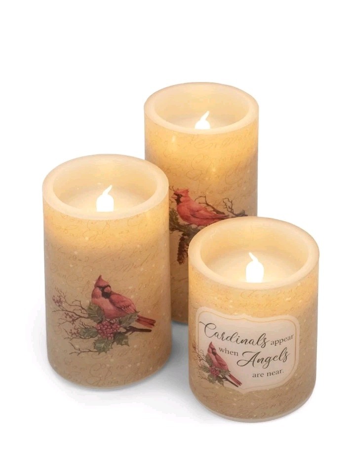 Set of 3 Candles LED Flameless Wax Pillars Cardinal Birds AAA Battery Operated