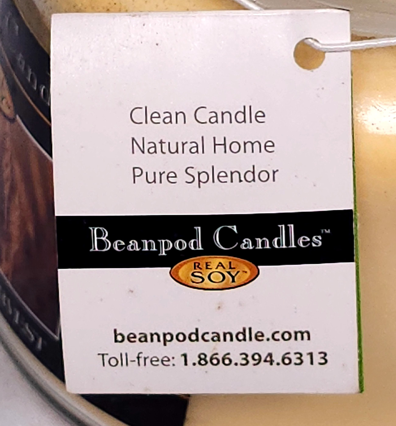 NEW Beanpod Candles American Harvest 16 OZ Real Soy Wax LARGE Jar Candle w Lid