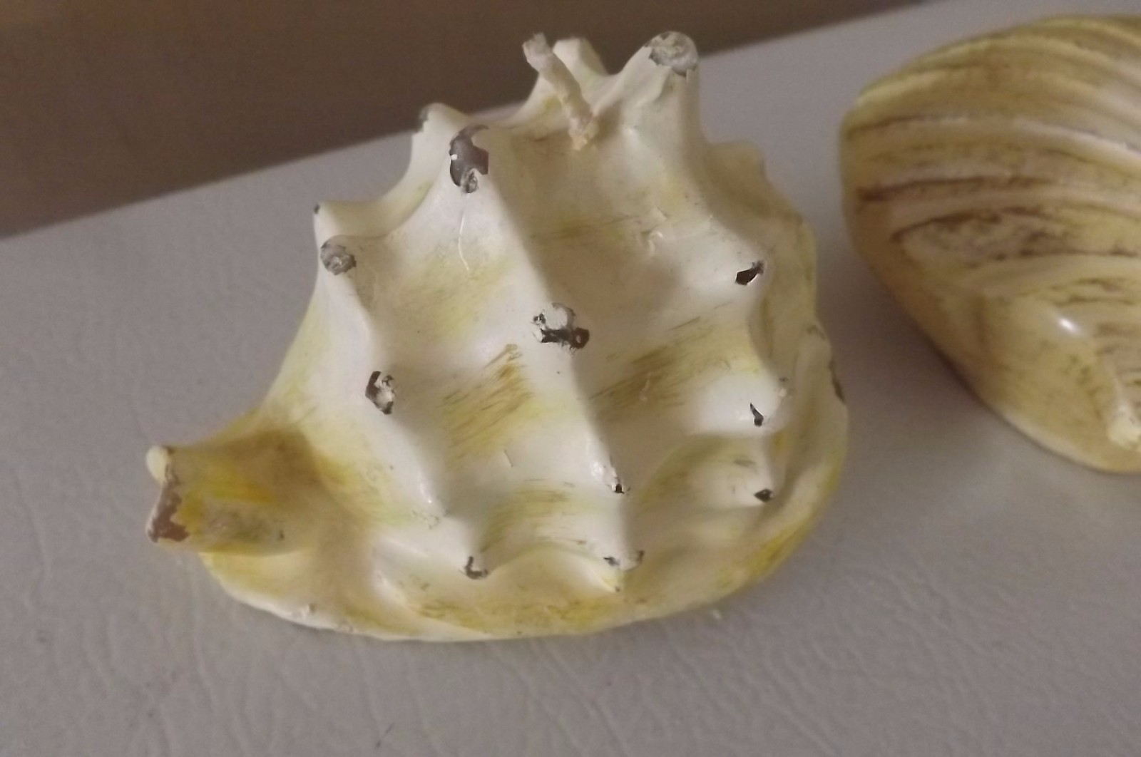 Shell Candle Scallop or Conch, Off White 3 1/2 in.
