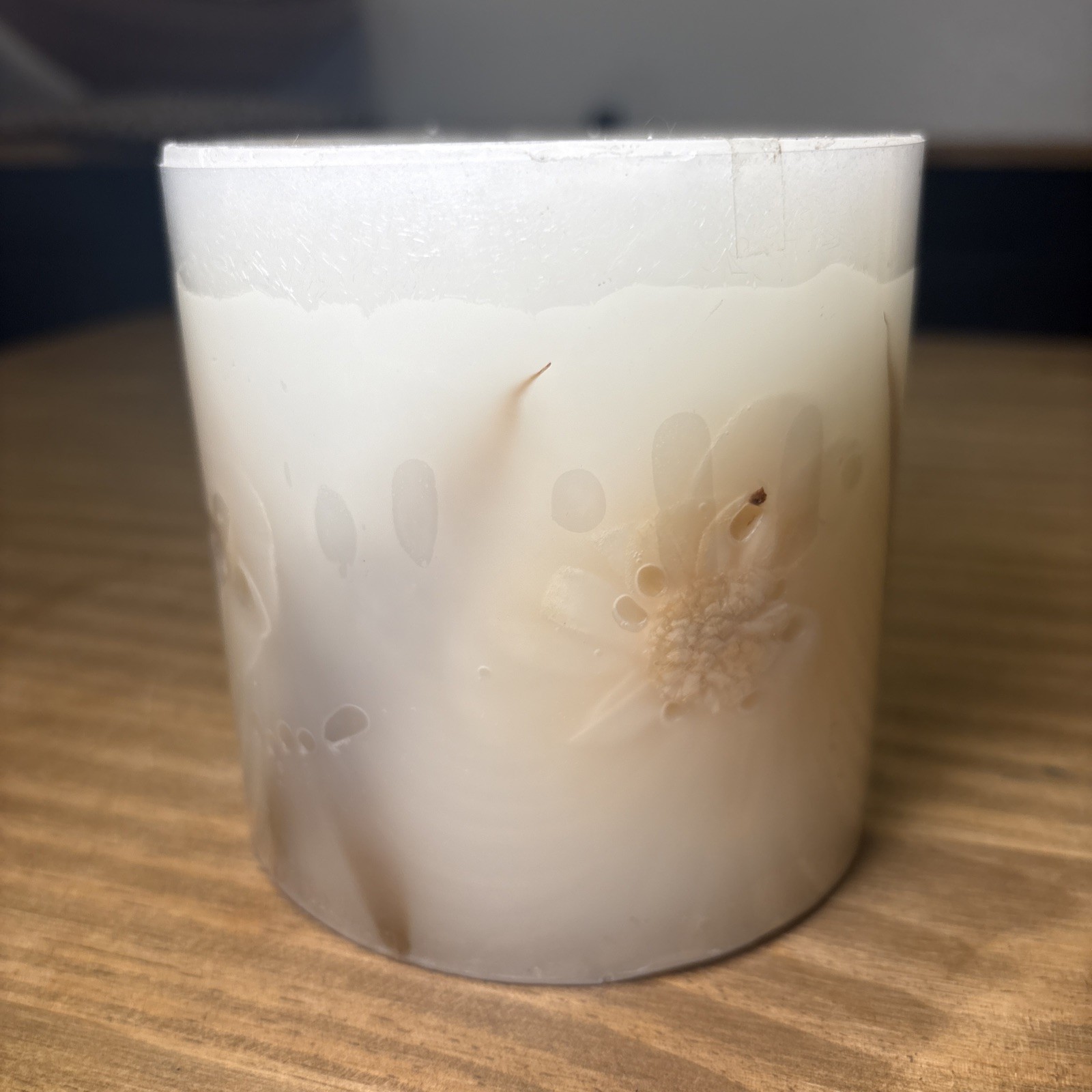 Pottery Barn Paperwhite botanical Candle 4″x4″ Wax Pillar Never Lit