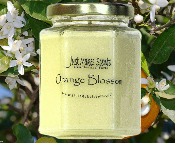 3-Pack Orange Blossom Candle New 8oz Hexagon by Just Makes Scents