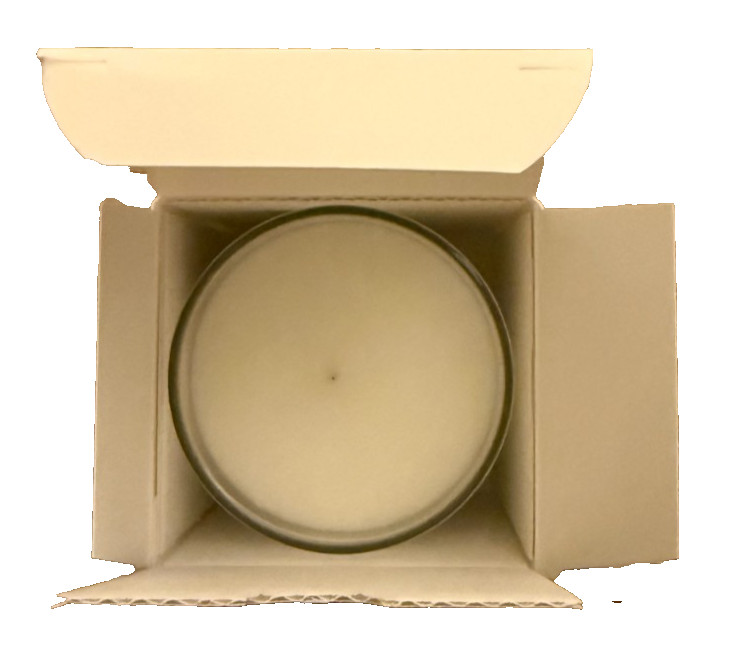 NEW IN BOX! Diptyque Figuier (Fig Tree) Scented Candle 70g/2.4 Oz.