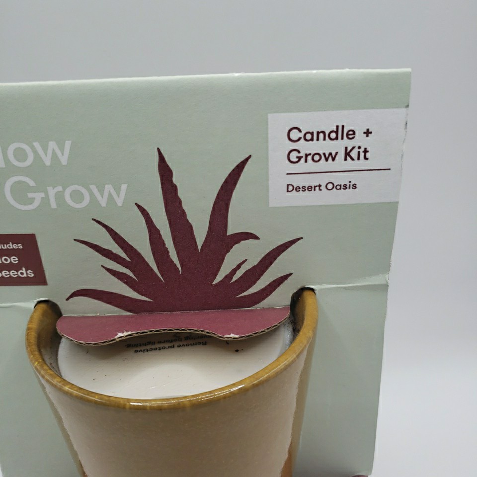 Modern Sprout Glow & Grow DESERT OASIS Candle & Grow Kit – Aloe Seed Chase Bank