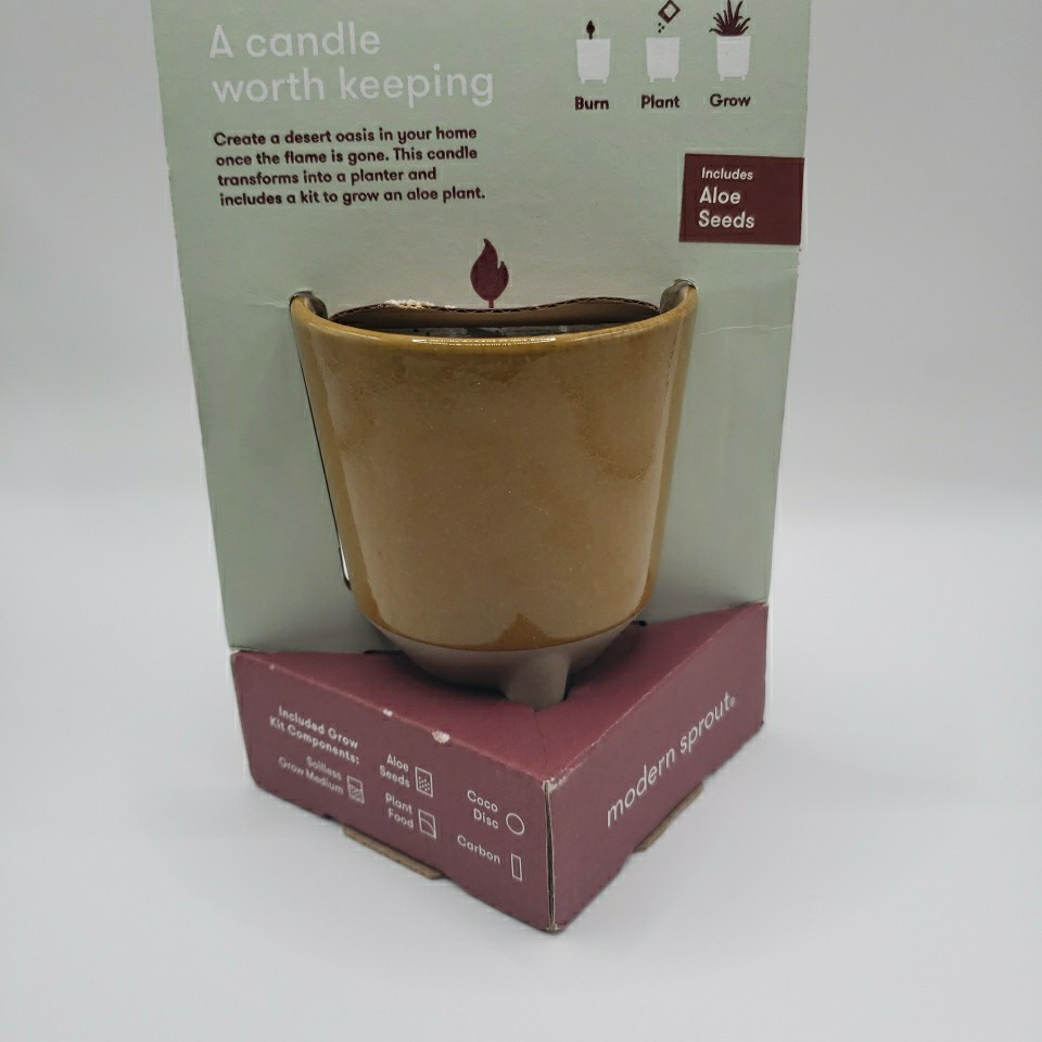 Modern Sprout Glow & Grow DESERT OASIS Candle & Grow Kit – Aloe Seed Chase Bank
