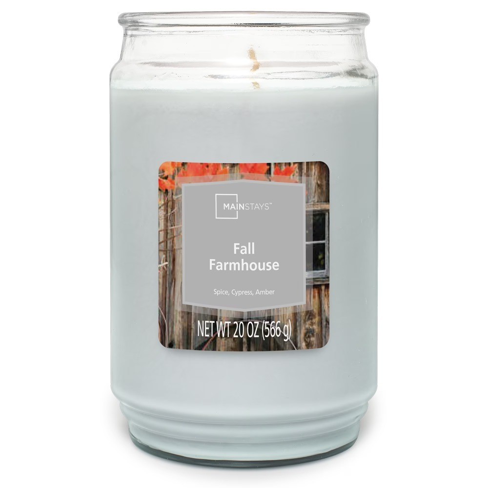 Autumn Harvest Scented Single Wick Candle Large Jar 20 Ounce Home Fragrance