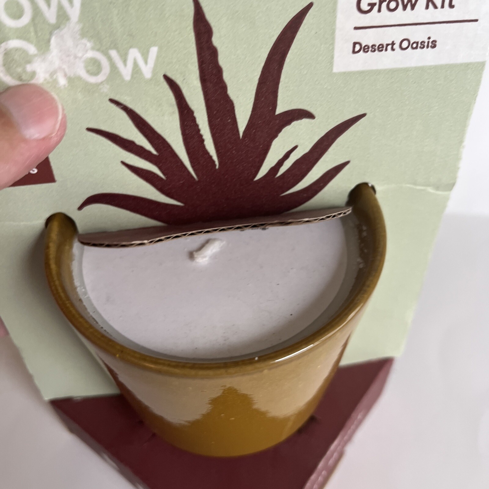 Modern Sprout Glow & Grow DESERT OASIS Candle & Grow Kit – Aloe Seed New