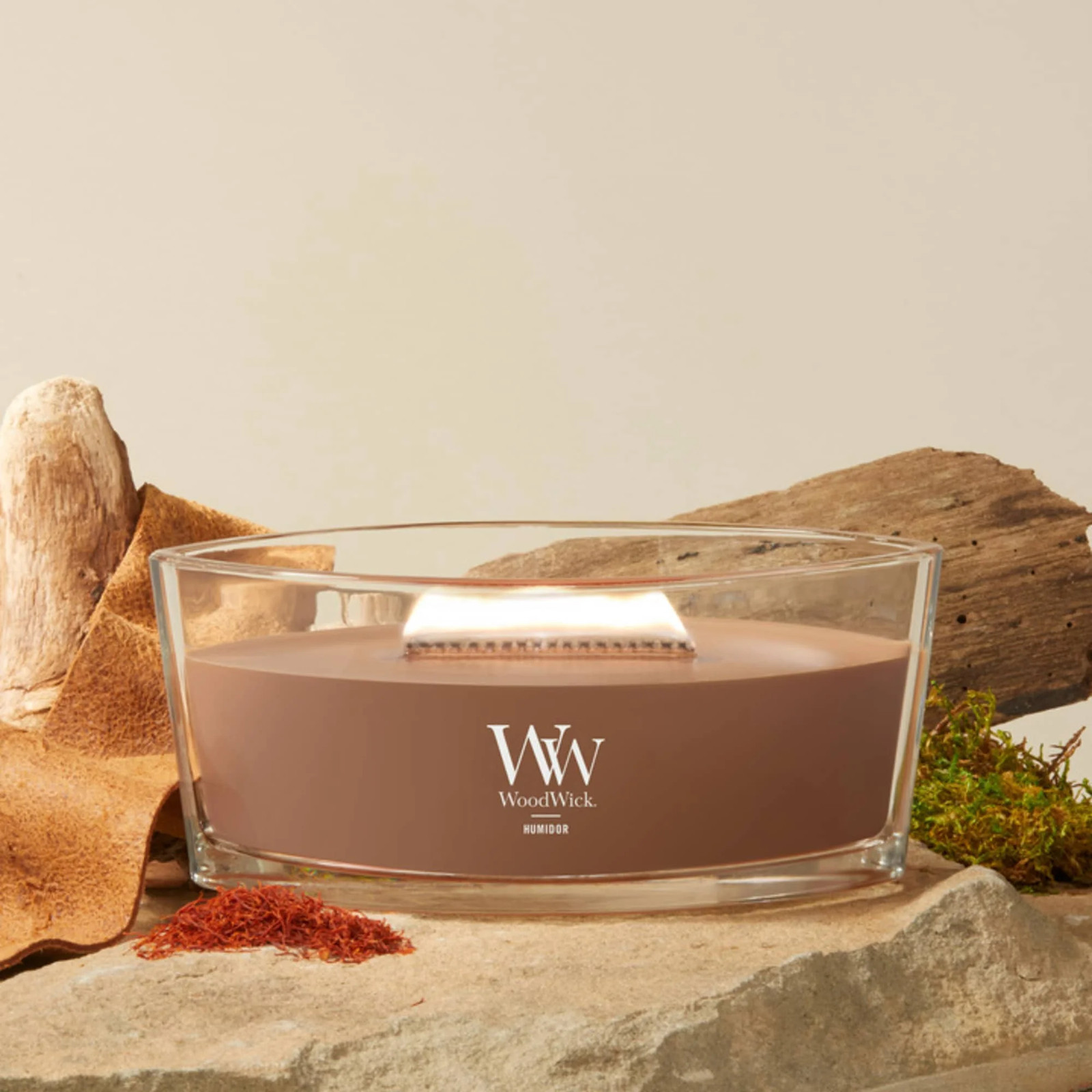 Ellipse Scented Candle, Humidor, 16 Oz