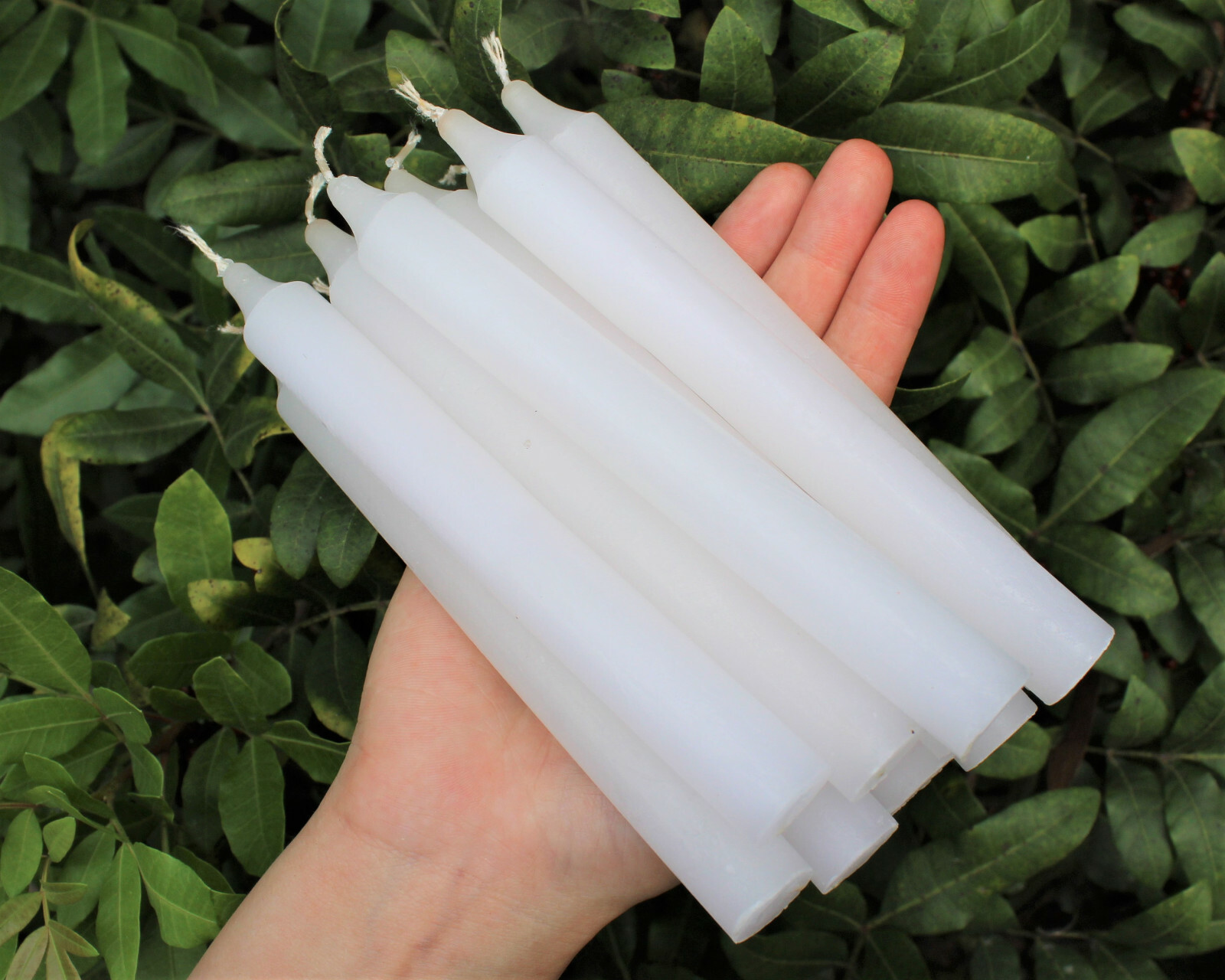 Lot of 36 x 6″ Taper Candles: WHITE (Spell Candles Altar Household)