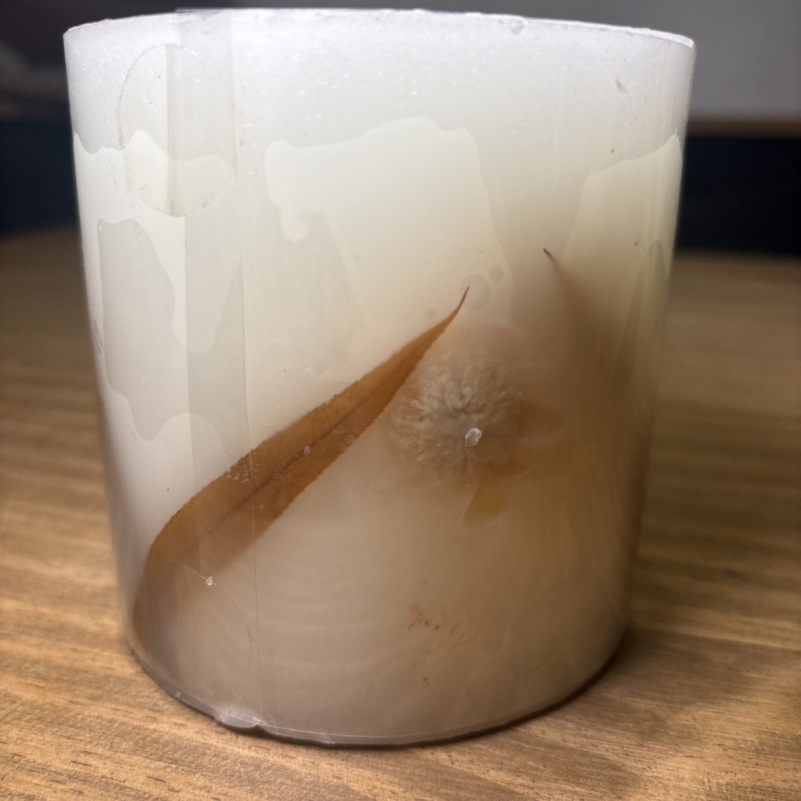 Pottery Barn Paperwhite botanical Candle 4″x4″ Wax Pillar Never Lit