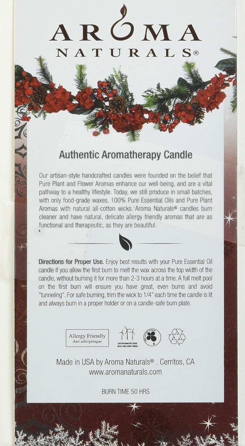 Warm Spice Pillar Candle – Citrus and Clove Essence, 2.5 in x 4 in, 50 Hour Burn