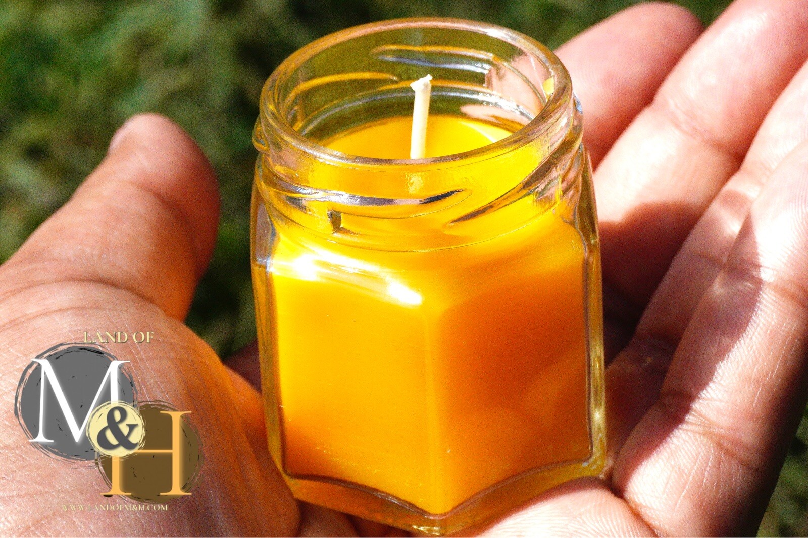 🐝 100% Beeswax (24 Pack) Candles 🕯️🕯️🕯️/ USA Honey Scent Long Burning 🐝