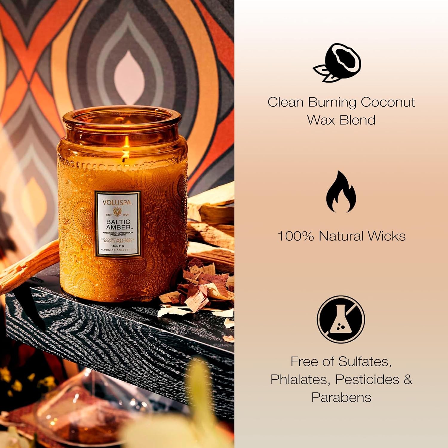 Baltic Amber Candle, 18 oz, Coconut Wax Blend, Scented Candles for Home, 100 …