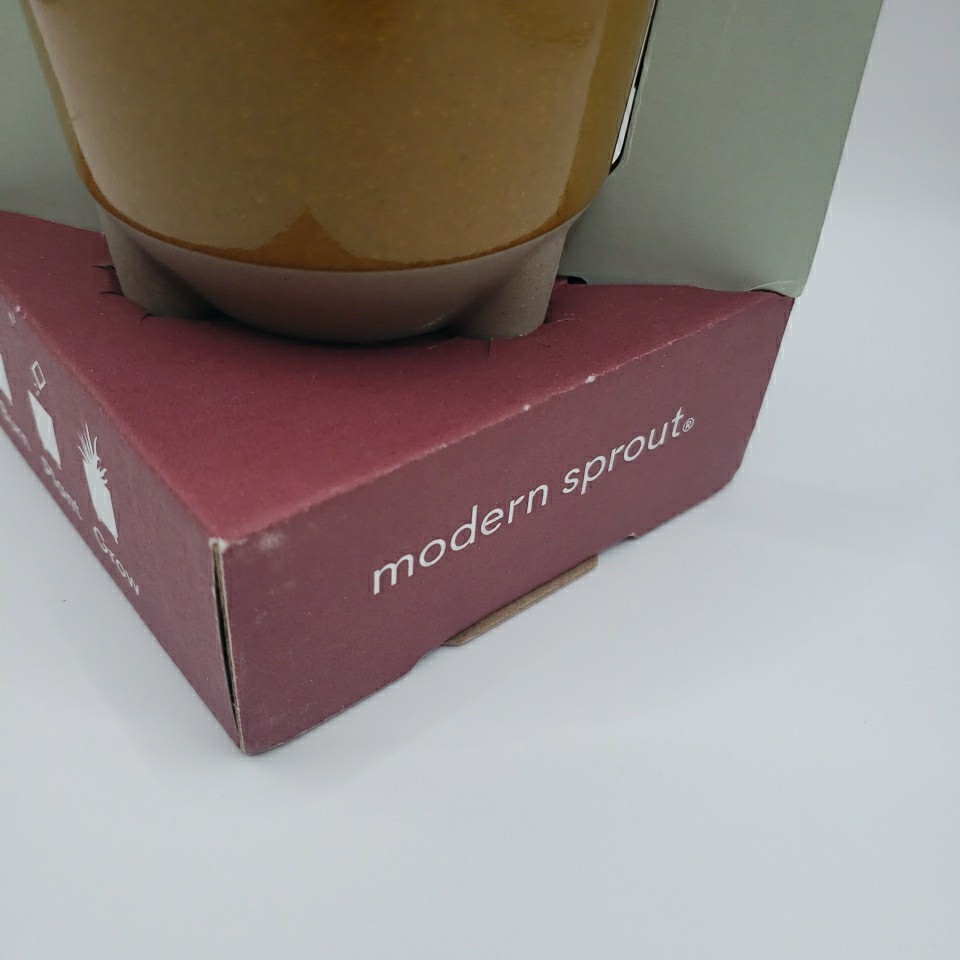 Modern Sprout Glow & Grow DESERT OASIS Candle & Grow Kit – Aloe Seed Chase Bank