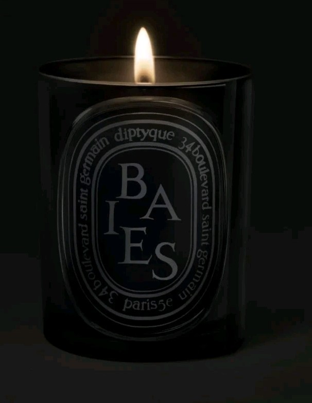 Diptyque Baies Candle 300g 100% Authentic No Box