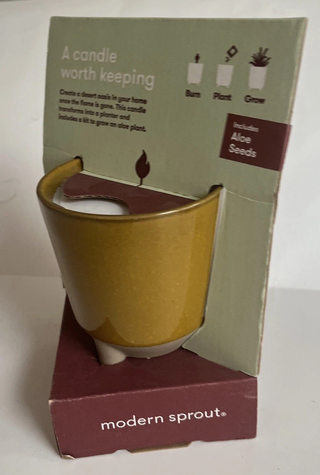 Modern Sprout Glow & Grow DESERT OASIS Candle & Grow Kit – Aloe Seed New