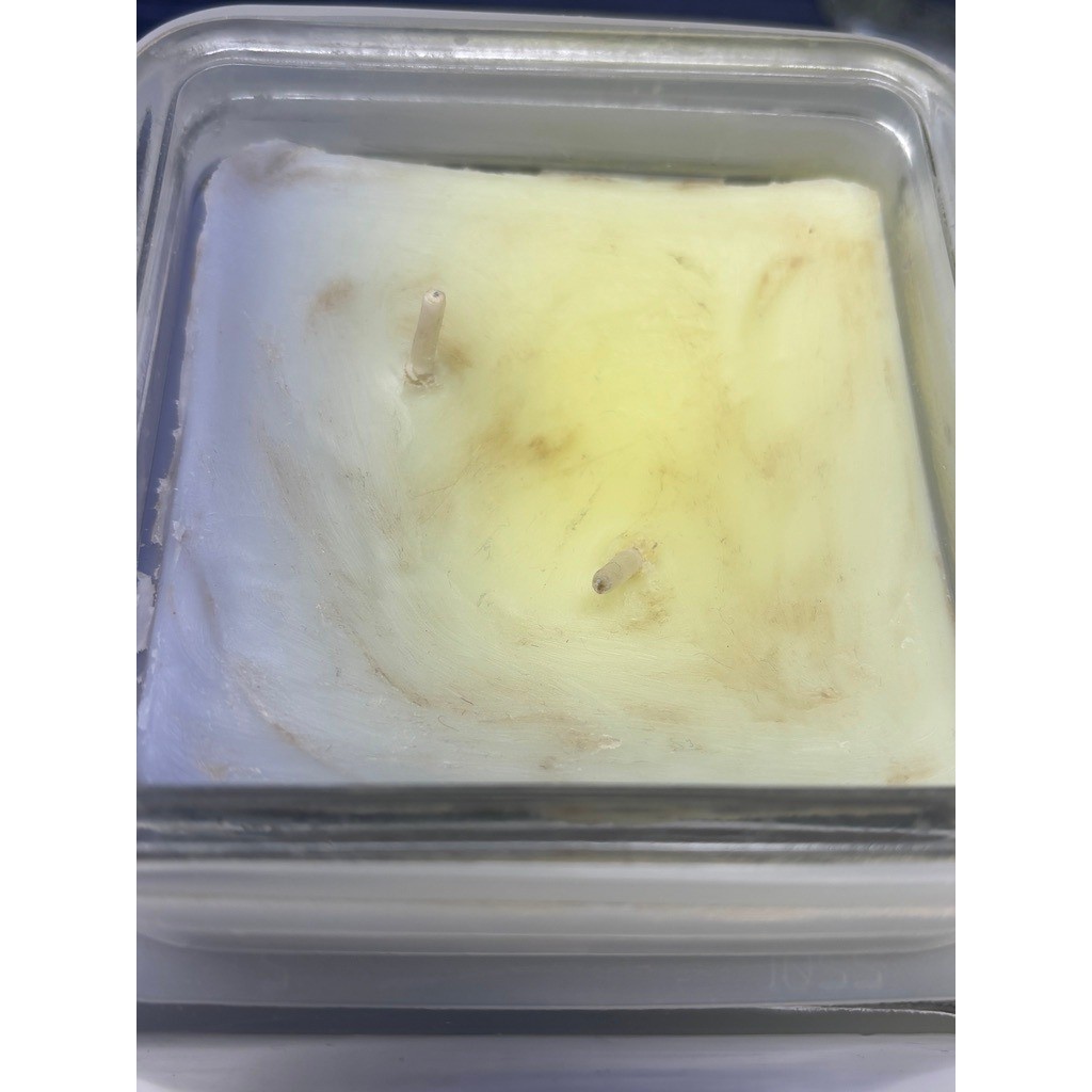 Circle E Candles Wisteria Candle 28 oz Fredericksburg Texas Burns 150-165 Hours