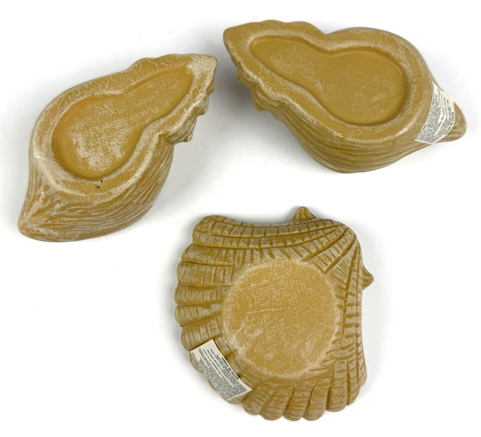 3 Sea Shell Candle Filed Holders Beach House Decor Seaside