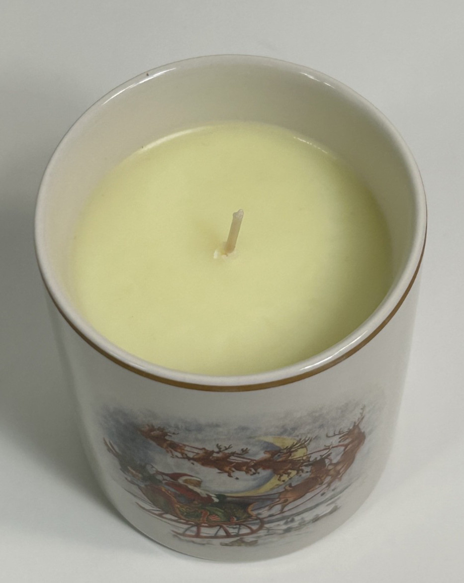NEW VINTAGE Pottery Barn SNOW CURRANT 6.8 oz Scented Candle Original Box – B4