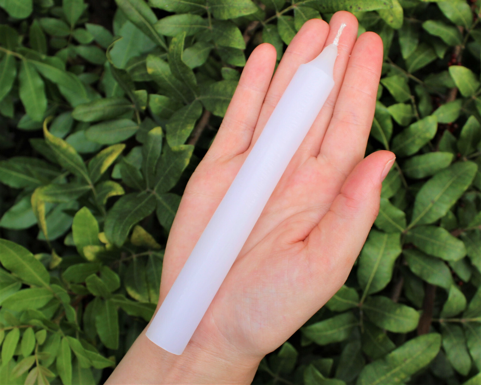 Lot of 5 x 6″ Taper Candles: WHITE (Spell Candles Altar Ritual Household)