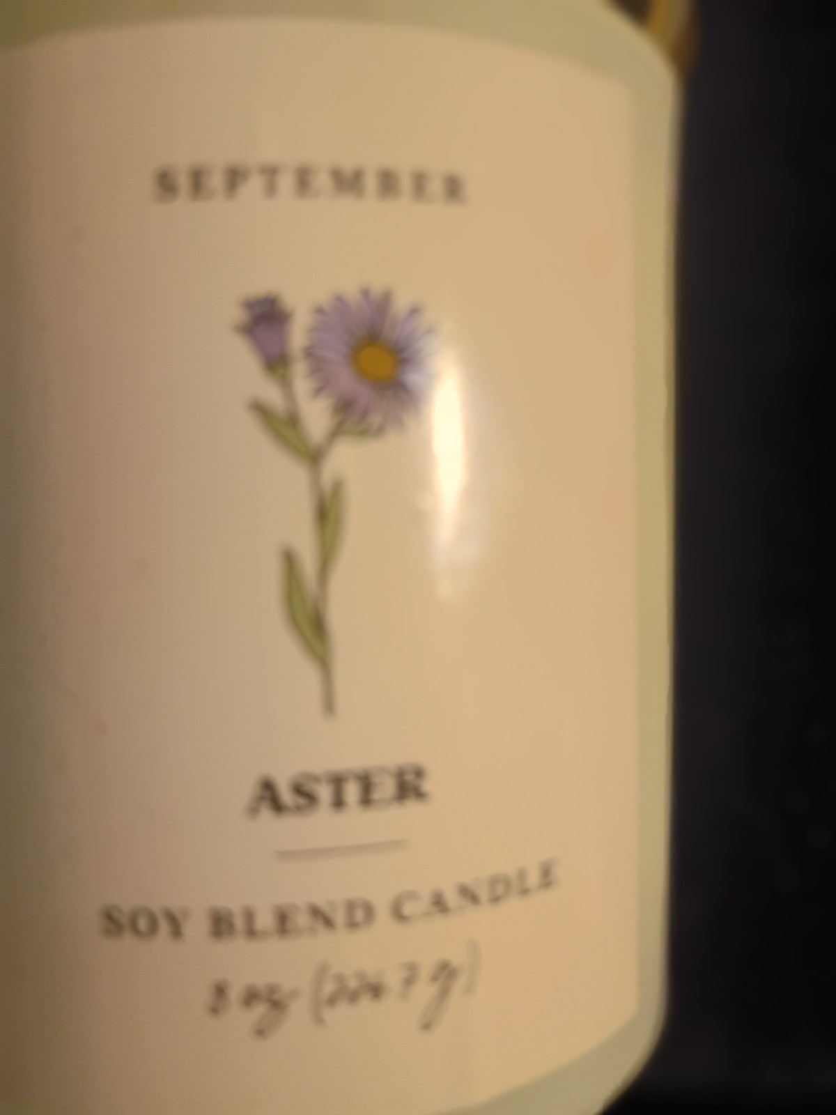 Modern Expressions Soy Blend Candle Lot of 2 September Aster & October Marigold