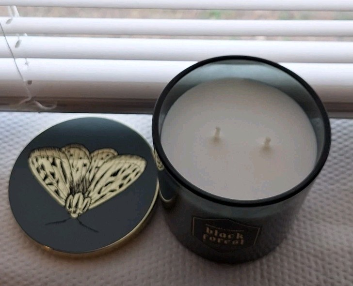D.L. & Co Modern Alchemy Black Forrest Candle Mahogany & Teakwood NWOB Glass Jar