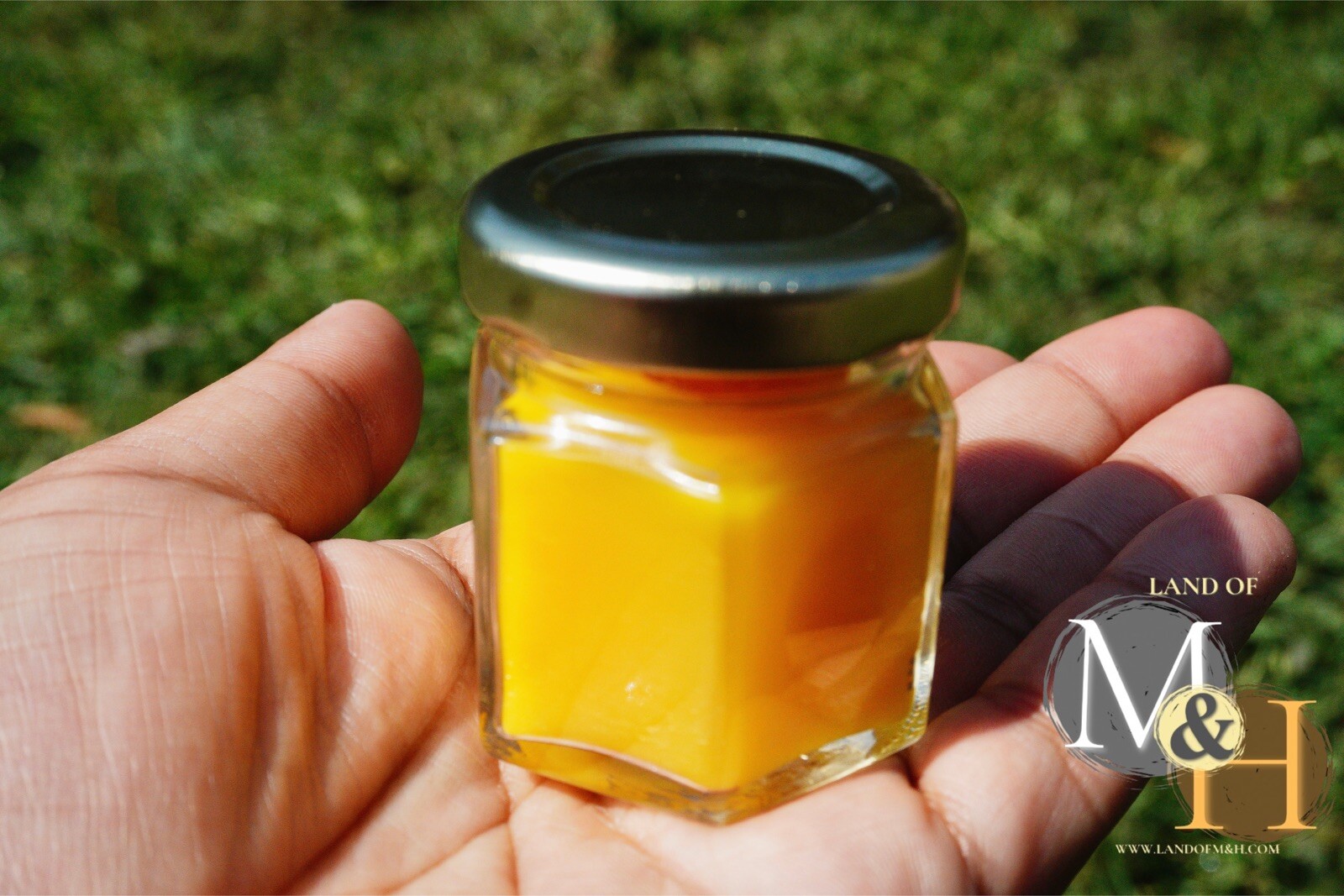 🐝 100% Beeswax (24 Pack) Candles 🕯️🕯️🕯️/ USA Honey Scent Long Burning 🐝