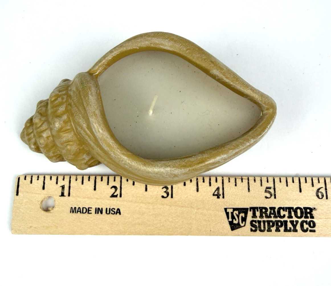 3 Sea Shell Candle Filed Holders Beach House Decor Seaside