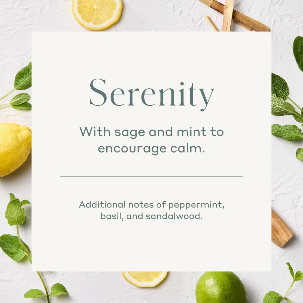 4-Wick Serenity Fashion Salted Glass Wellness Jar Candle – Casaluna