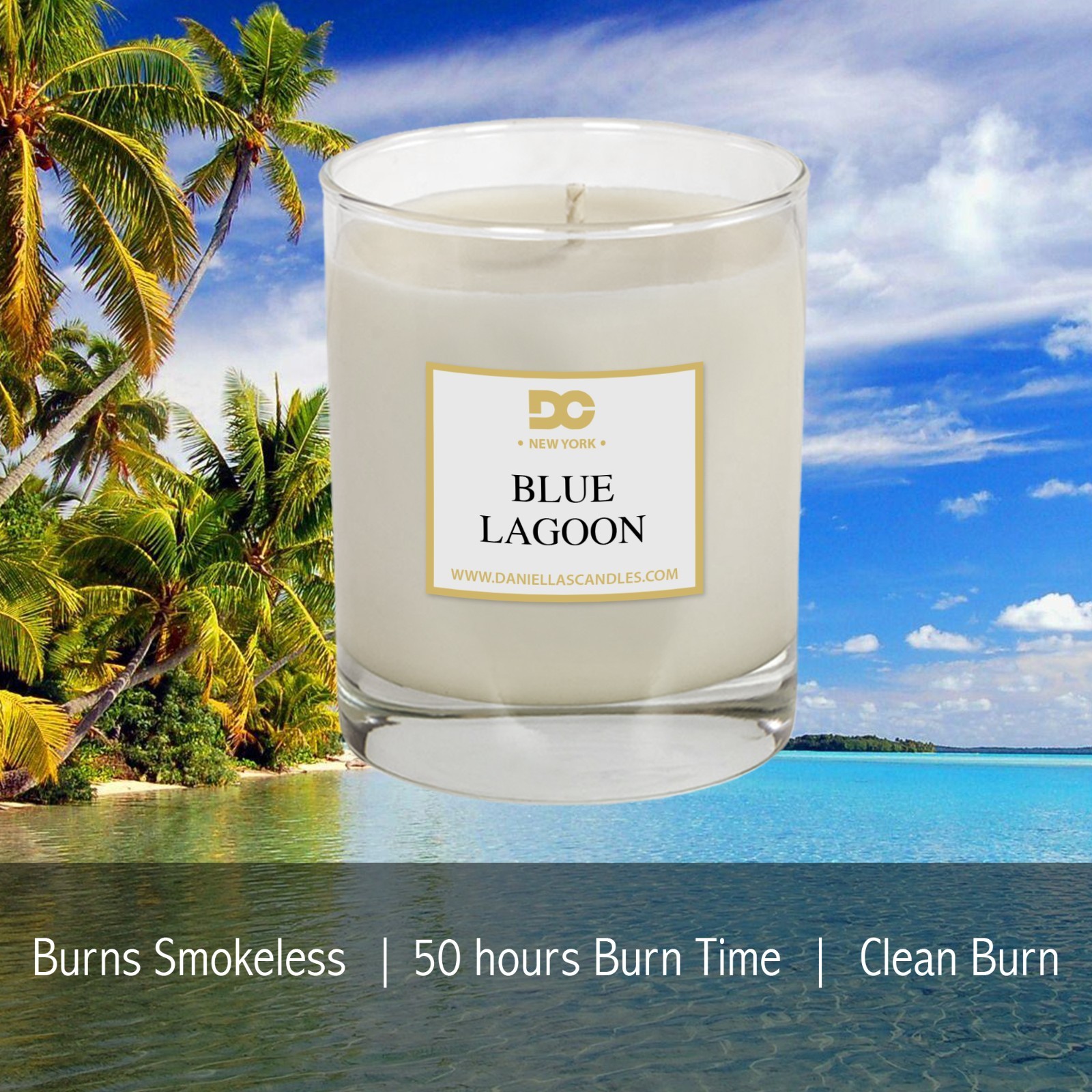 Daniella’s Candles Scented Classic Candle 11 oz NEW – BLUE LAGOON
