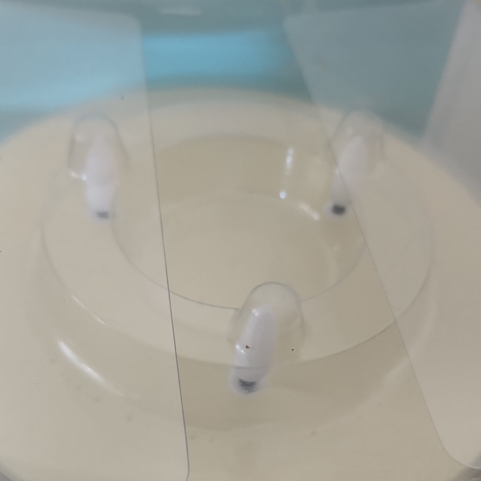 Martha Stewart Flameless 3-Wick LED Wax Pillar Candle Ivory 6in x 6in AA
