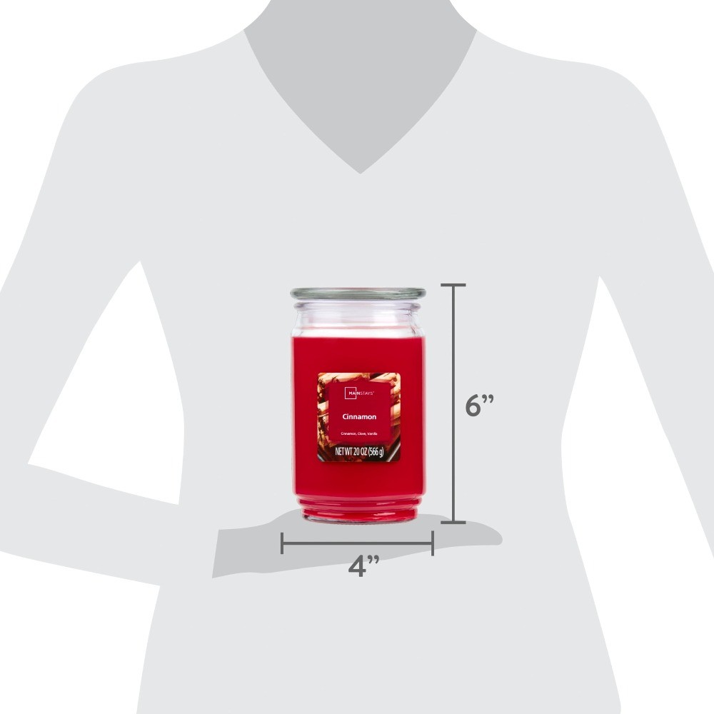 (2 pack) Single-Wick Scented Glass Jar Candle, Cinnamon, 20oz.