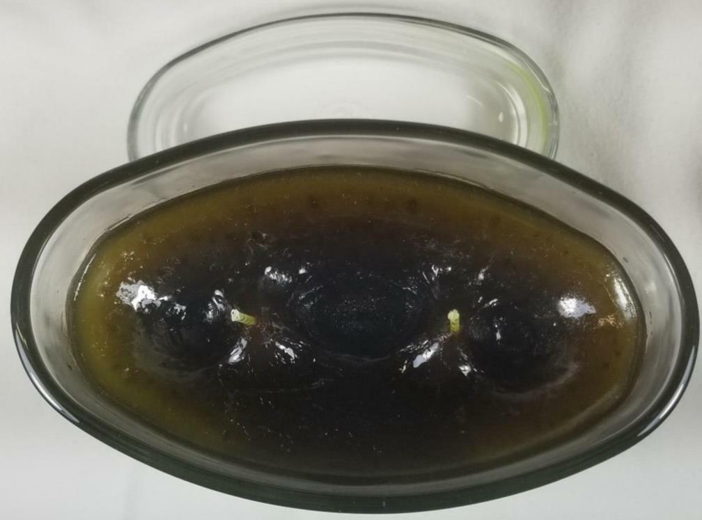 Colonial Candle FRESH ALOE Large Oval Jar 22 Oz Green Discontinued Wax