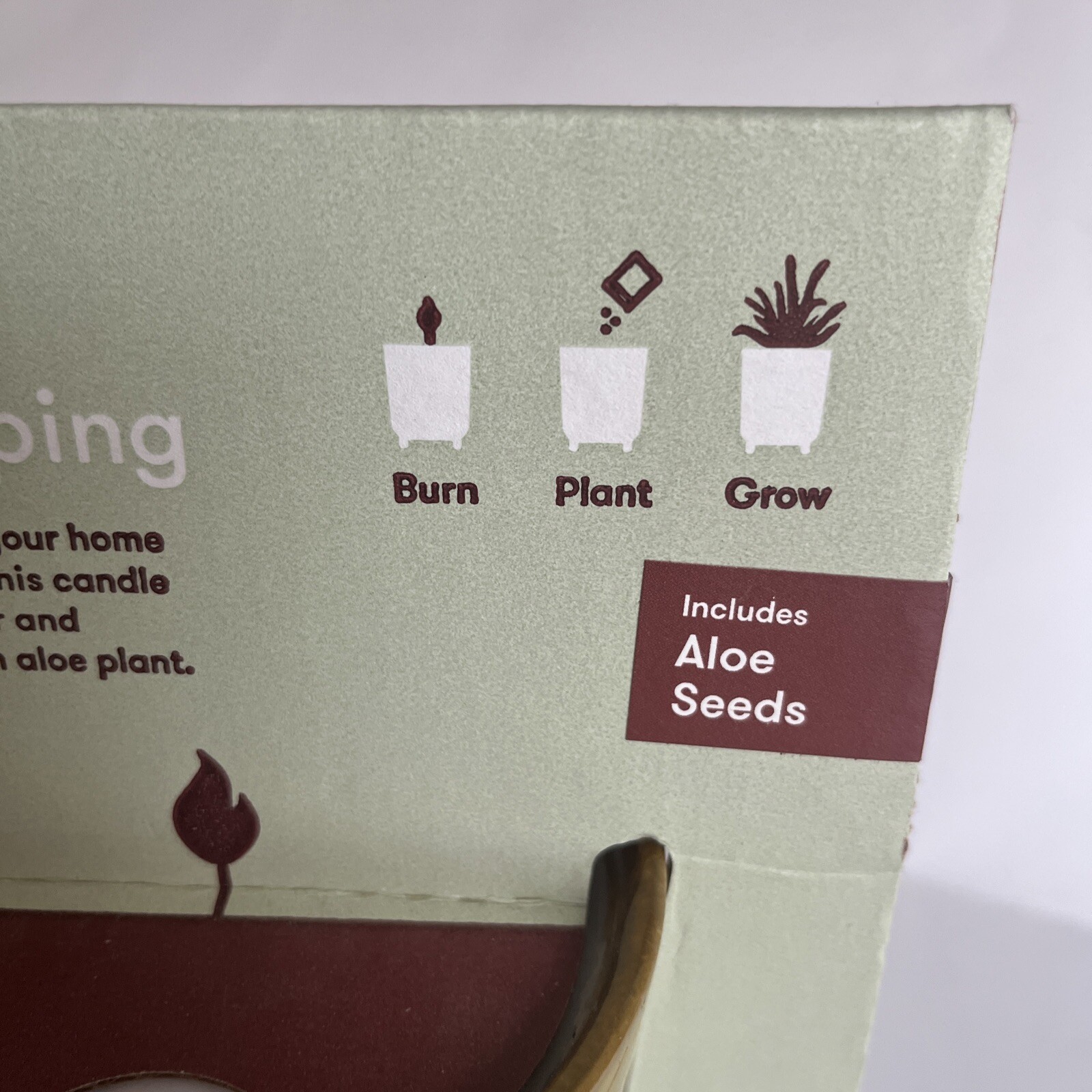 Modern Sprout Glow & Grow DESERT OASIS Candle & Grow Kit – Aloe Seed New