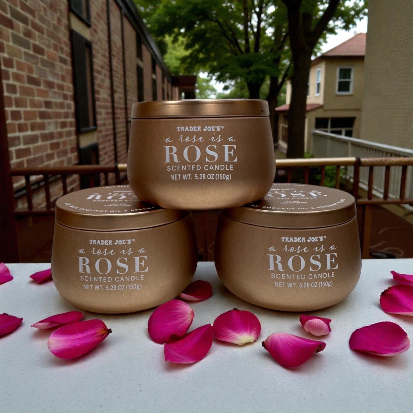 Trader Joe’s – Rose Is A Rose – Coconut Soy Wax Blend – 28 Hours Burn Time