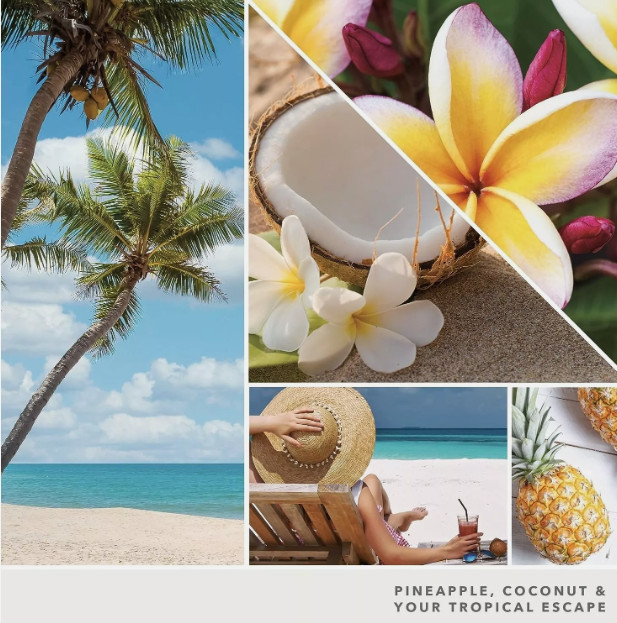 Yankee Candle Coconut Beach Pillar Candle 14.25oz – coconut, pineapple, vanilla