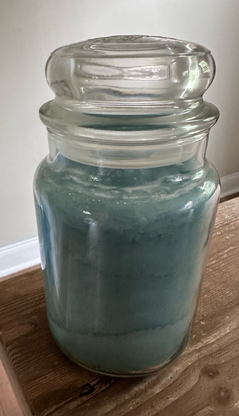 Yankee Candle Blue Hydrangea Large Jar – Classic Label – NEW – Retired 22 OZ