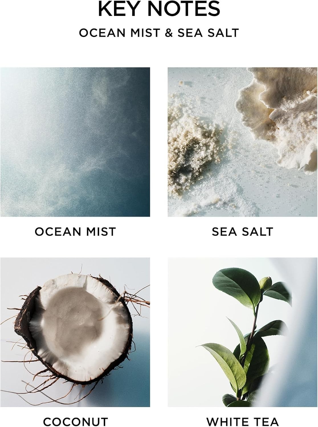 NEST New York Scented Votive Candle, Ocean Mist & Sea Salt – 2 oz